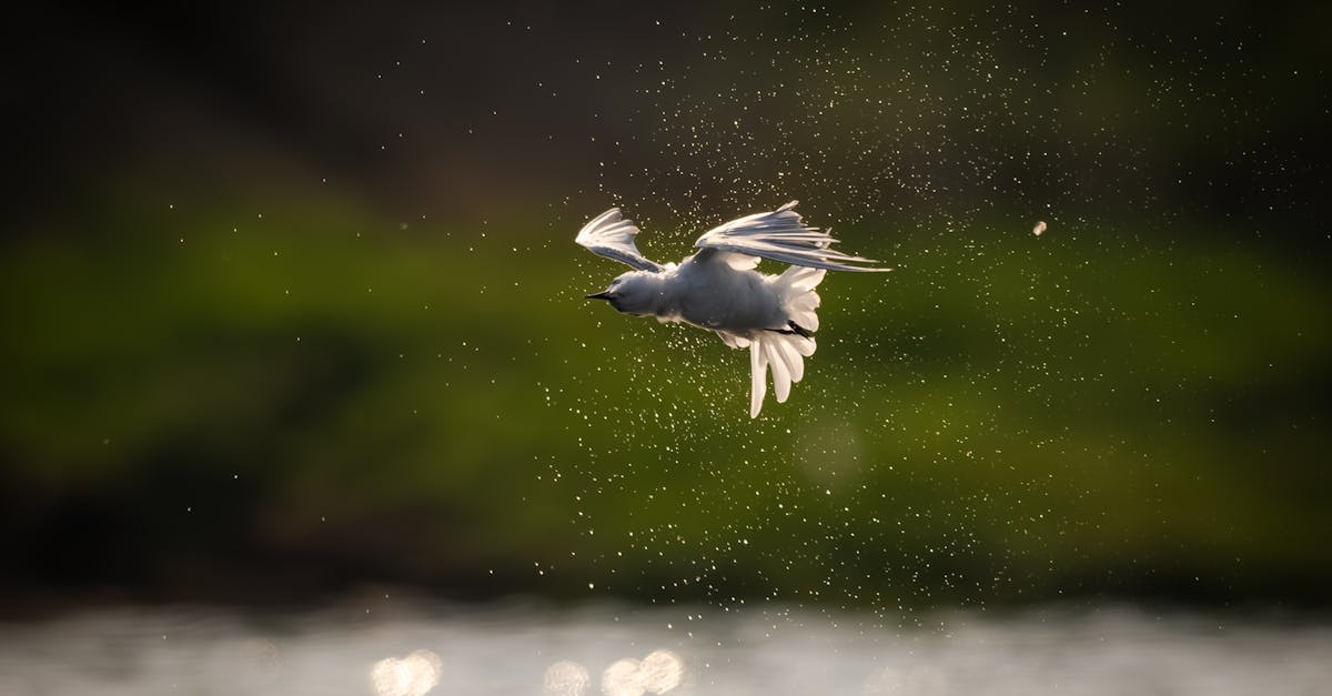 découvrez le delay spray, un spray retardant conçu pour prolonger le plaisir lors des rapports intimes. facile à utiliser et discret, il aide à retarder l'éjaculation tout en maintenant des sensations naturelles.