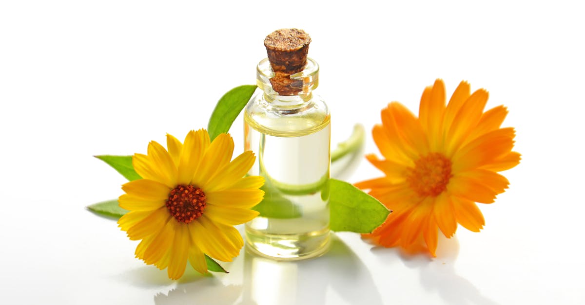 découvrez notre huile de massage comestible, idéale pour des moments de détente sensuels et gourmands. nourrit la peau, parfume délicatement et peut être savourée sans risque. parfaite pour pimenter vos instants intimistes !