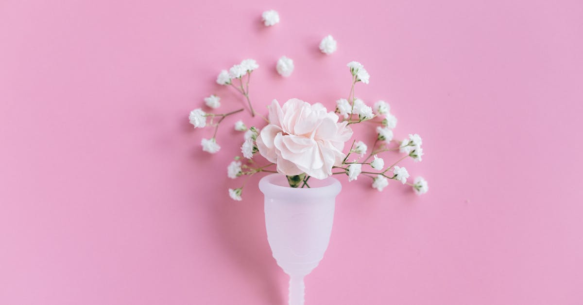 découvrez tout ce qu'il faut savoir sur la stimulation vaginale : techniques, conseils et bienfaits pour une vie intime épanouie. informations fiables et guide pour explorer votre plaisir en toute confiance.